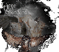 Thumbnail for version as of 00:56, 28 January 2011